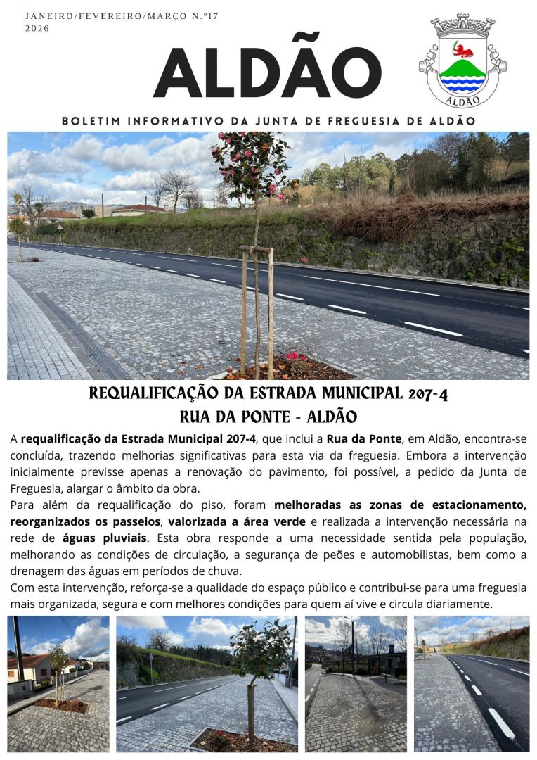 Boletim Informativo N&ordm;17